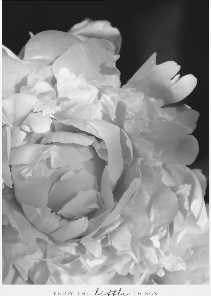 Plakat - Enjoy the little things peony BW