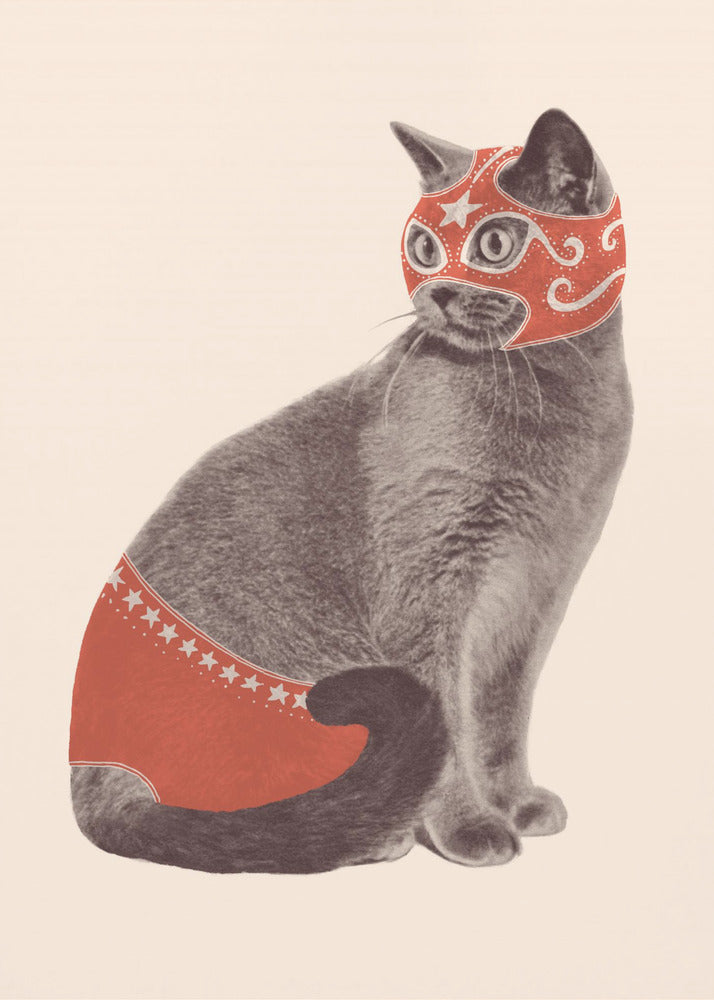 Plakat - Chat Catcheur - Admen.dk