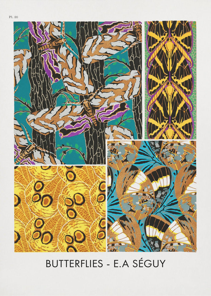 Poster - Butterflies 20