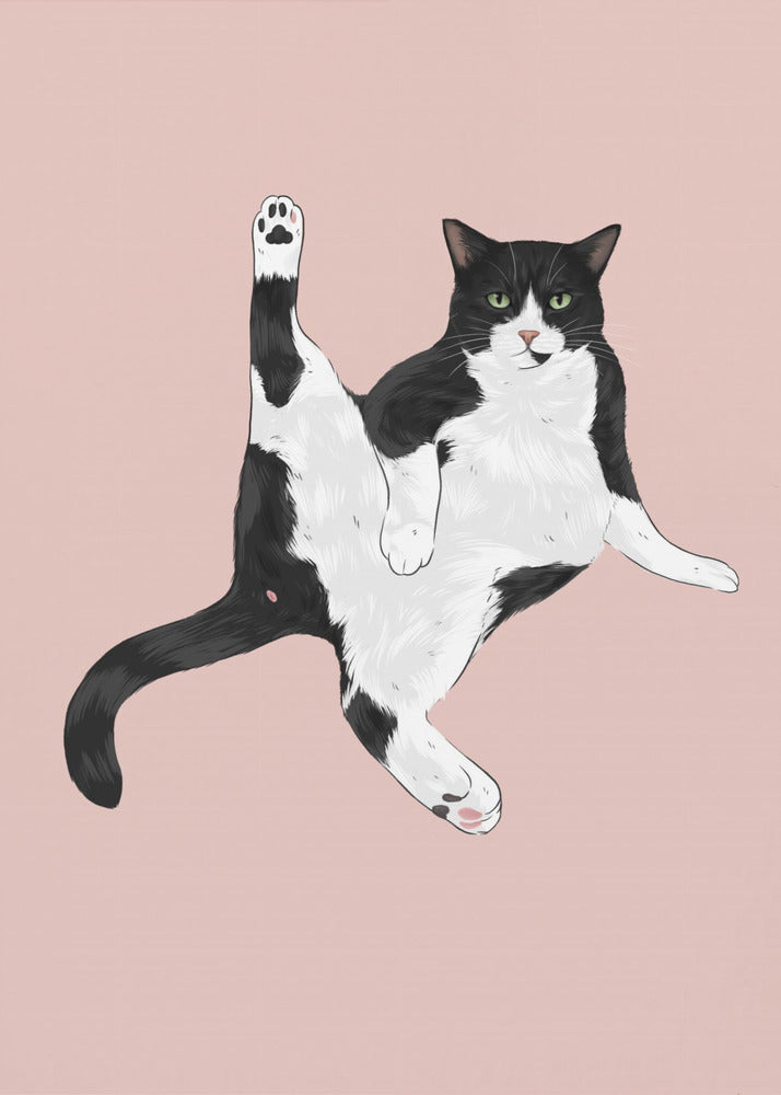 Plakat - Sassy Cat