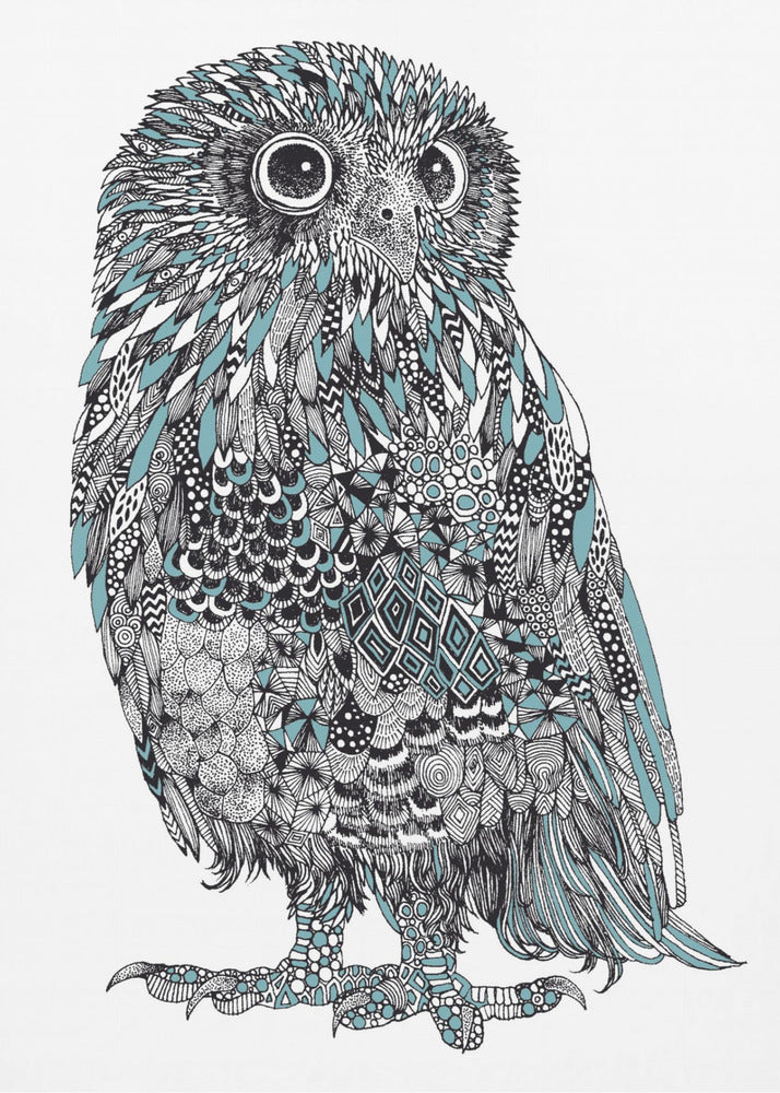 Poster - Baby Owl