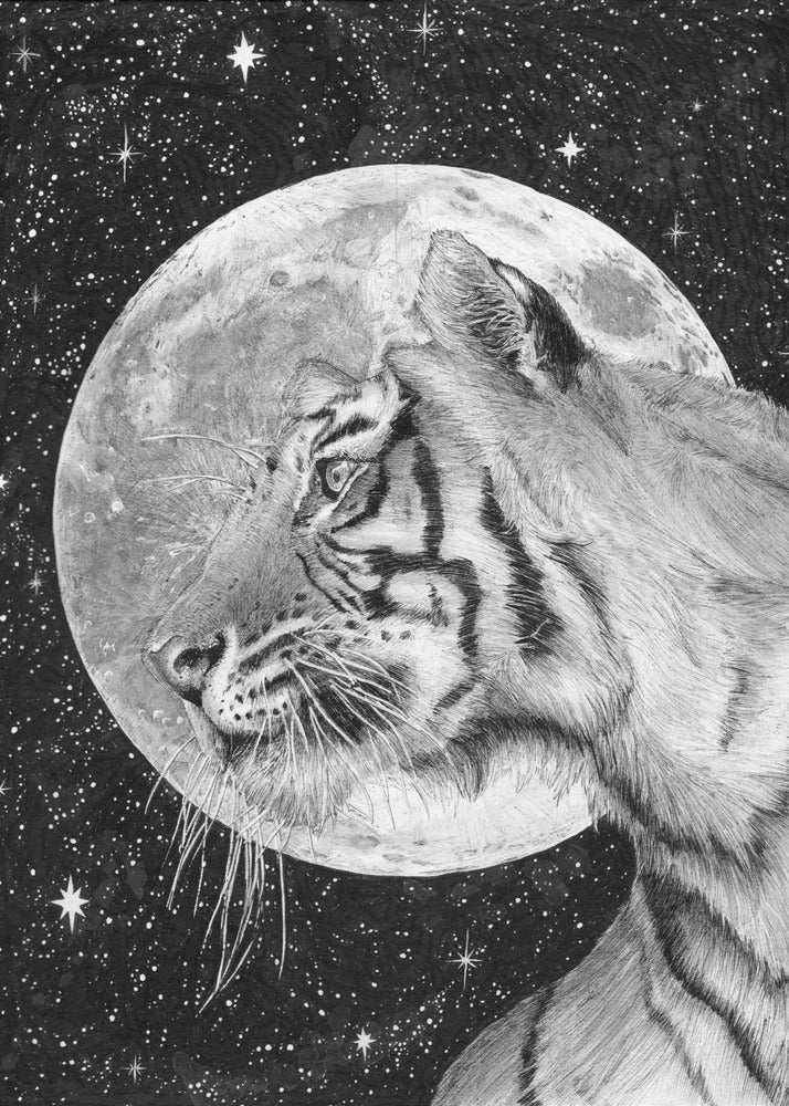 Poster - Moon and Tiger Original