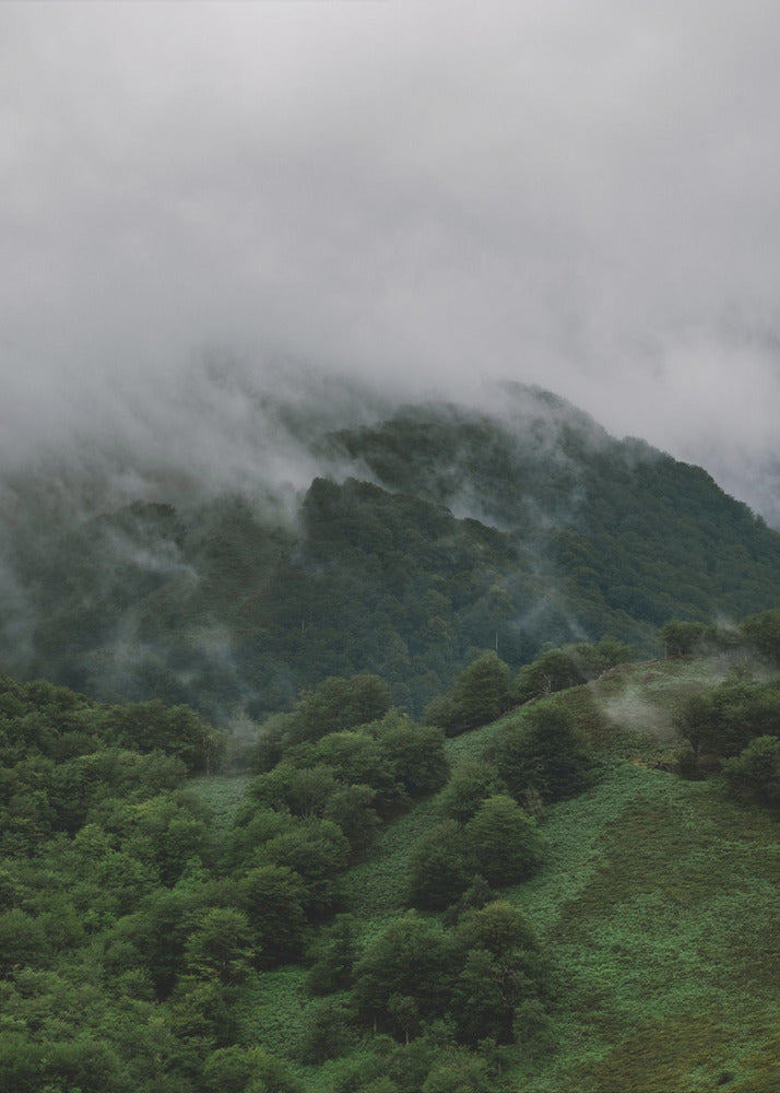 Plakat - Foggy Mountains - Admen.dk