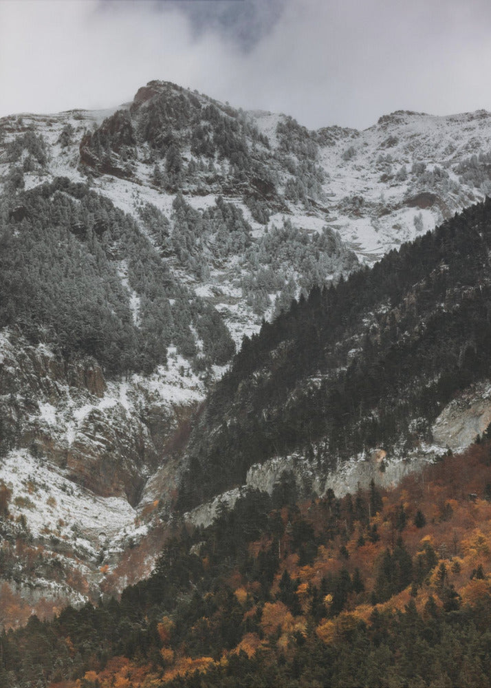 Plakat - Foggy Mountains 06 - Admen.dk