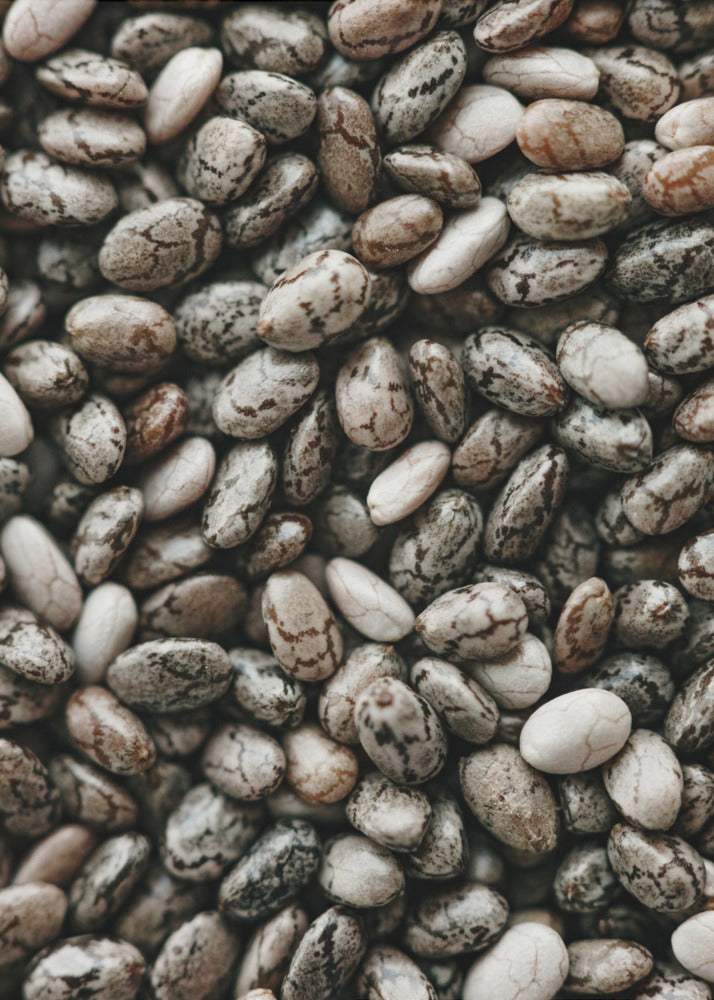 Plakat - Chia Seeds - Admen.dk